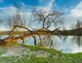 More than 20000 new homes approved to be built in Sussex after four-year delay Image