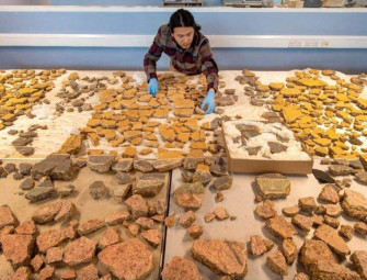Archaeological ‘jigsaw’ reveals 2000-year-old Roman wall paintings Image