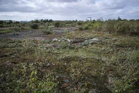 Up to 1.7m homes could be built on grey belt and well-connected brownfield says report Image