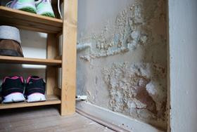 Nearly half of social and private rented homes ‘not decent’ under proposed new standard Image