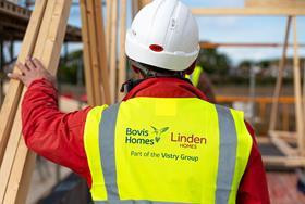 Lenders back on board after last year’s profit warnings says Vistry Partnerships chief Image