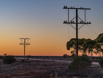 WA budget investing in locally made poles and wires Image