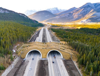 Dialog engineers Alberta’s first wildlife overpass outside Banff Image
