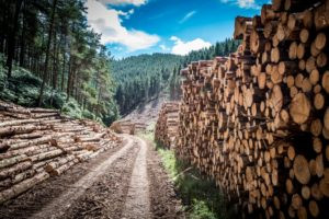 Why a circular economy is key to sustainable construction Image