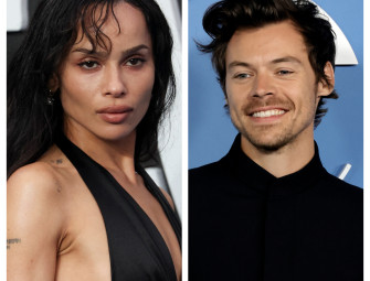 Inside the north London compound Harry Styles rumoured to be moving new girlfriend Zoe Kravitz into Image