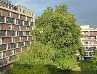 Leaseholder fury at £100k bills for new windows during major works beset by delays Image