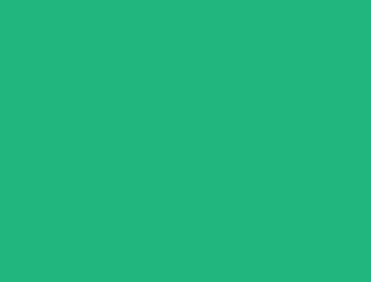 Vision Extrusion Group Joins the Vinyl Sustainability Council Image