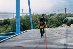 Scaling new heights  Image