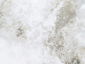 How digital tools can help social landlords meet Awaab’s Law Image