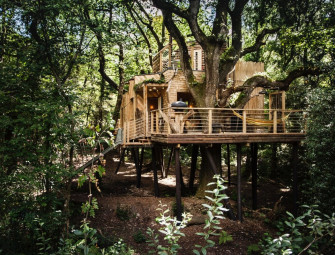 Like a childhood fantasy come to life: Three RIBA award-winning Dorset treehouses for sale for £2m Image