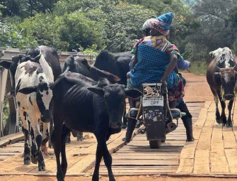 Engineer ECS Engineers Without Borders Restore Impassible Road in Africa Image