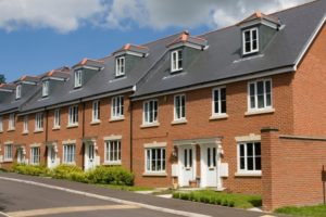 Six ways to create ecological value in housing developments Image