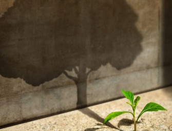 What is the potential of self-healing concrete? Image