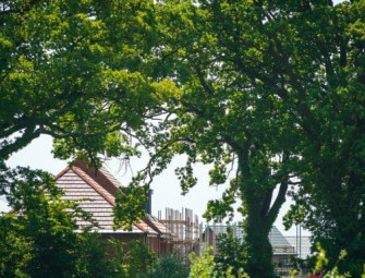 Charities warn Planning & Infrastructure Bill could demolish wildlife Image