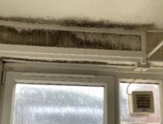 Healthy buildings: Why is damp condensation and mould still an issue and are we ready for Awaab’s Law? Image