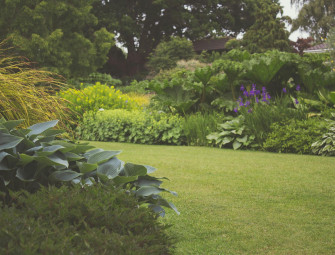 Low-Maintenance Landscaping Ideas for Busy Property Owners Image