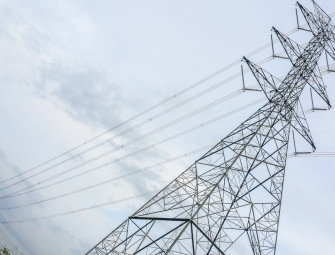 Budget backs local poles Image