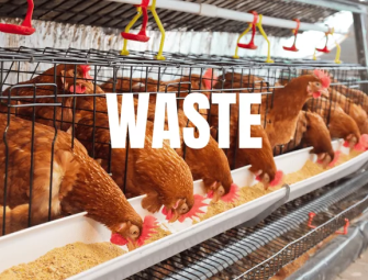 EPA Nixes Revised Effluent Limitations Guidelines for Meat Poultry Industry Image