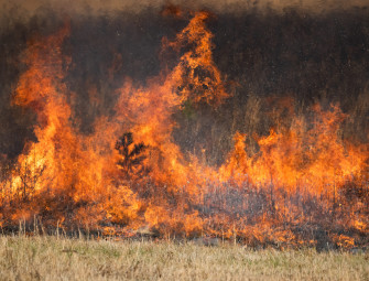Lytton wildfire report contains useful insights Image