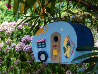 Best DIY birdhouse kits for nature lovers: Build a home for UK birds Image